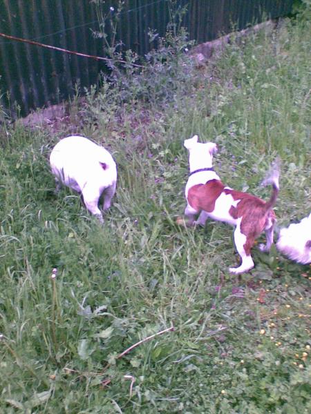 moly shania et la voisine a moly